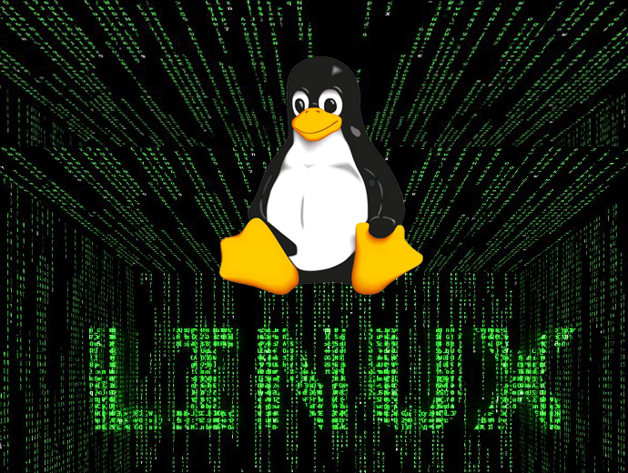 Linux For Beginners Training Course
